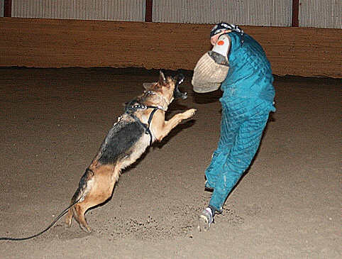 Training in Estonia 3/2007